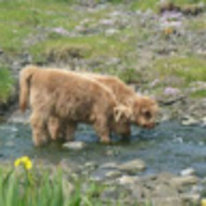 Meet your Posher, Hallie